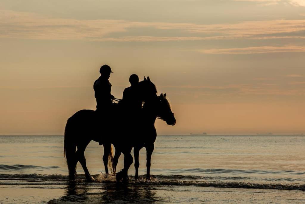 Hoekje Up Katwijk aan Zee ภายนอก รูปภาพ