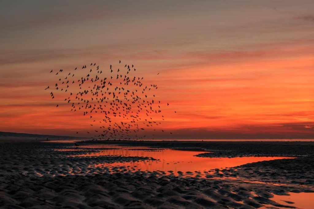 Hoekje Up Katwijk aan Zee ภายนอก รูปภาพ